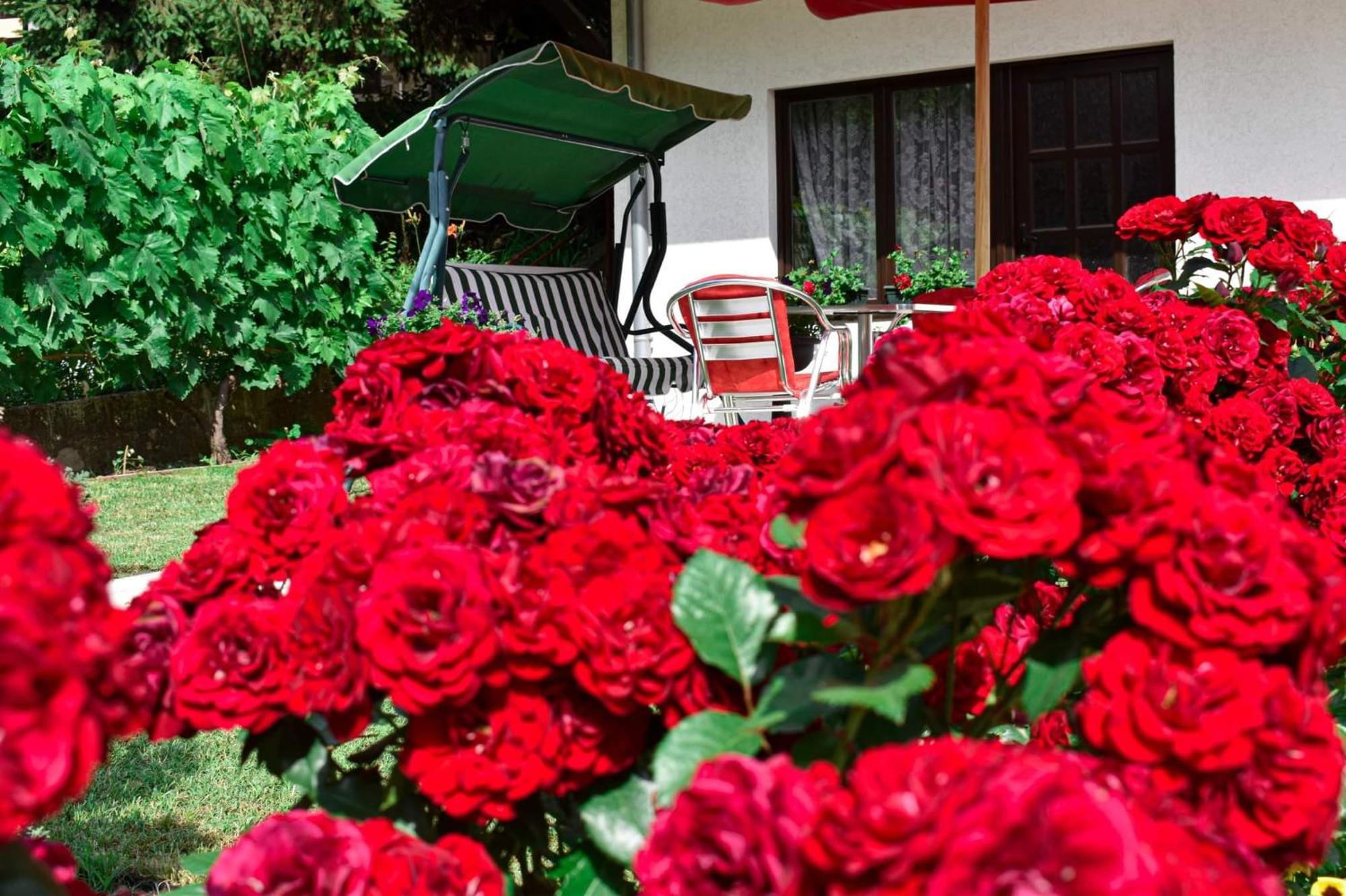 Apartmani "Vila Jelena" Arandjelovac Room photo