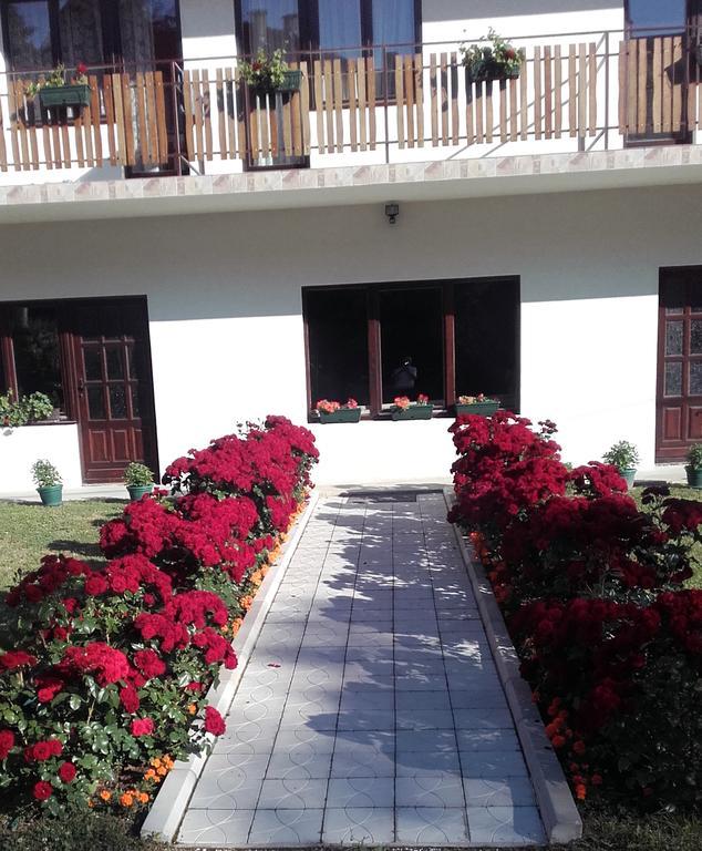 Apartmani "Vila Jelena" Arandjelovac Exterior photo